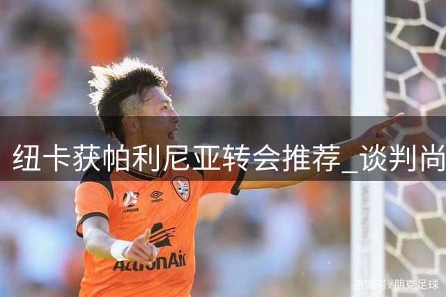 纽卡获帕利尼亚转会推荐 谈判尚未正式启动